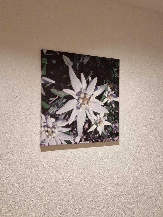 Ferienwohnung Flor De Nieve Jaca Exterior foto